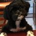 Joel Fulghum - Facebook