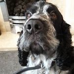 Jill Gannon - @jill.gannon.758 - Instagram