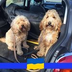 Jill Hardy Gannon - @jillhardygannon - Instagram