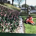 Jill Garvin - Facebook