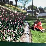Jill Garvin - @jillgarvin59 - Instagram