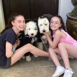 Jill Gilman - @jill.gilman - Instagram