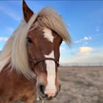 Jill Glaser Abernathy - @jillabernathy - Instagram