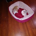 Jill Glick Gerber - @juicyjill1978 - Instagram