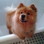 Jill Setlich Glover - @plantsandpetsandpetsandplants - Instagram