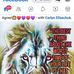 Jill Grace - Facebook
