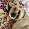 Jill Grace - @jill.grace8 - TikTok