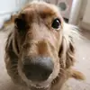Jill Granger - @jill.granger - TikTok