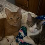 @jillgrass - Instagram