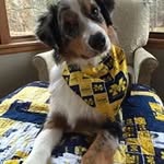 Jill Greenfield - @greenfield1960 - Instagram