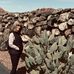 Jill Greenfield - Facebook