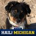 Jill Greenfield - Facebook