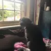 Jill Gregg - @jill.gregg - TikTok