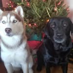 Jill Gregg - @jill.gregg.54 - Instagram