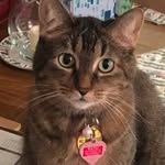 Jill Gregg Clever - @jill_clever - Instagram