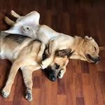 Jill Grimes - @jill.grimes.70 - Instagram