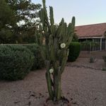 Jill Groth - @jgscw6786 - Instagram