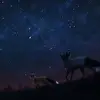 jillgrubb856 - @jillgrubb856 - TikTok
