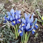 Jill Gurney - Facebook