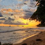 Jill Gwin - @jillygwin - Instagram