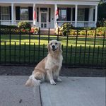 Jill Hackenberg Conley - @jmconley93 - Instagram