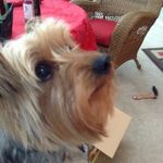 Jill Haddock - @jill.haddock.503 - Instagram