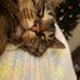 Jillian Hager - Facebook