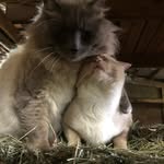 Jill Hamann-Bannister - @zjillian2024 - Instagram
