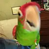 Jill McGee - @jill.hamel - TikTok
