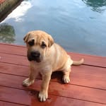 Jill Hammack McLeod - @jillhammackmcleod - Instagram
