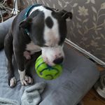 Jill_Harmsen - @jill_harmsen - Instagram