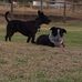 Jill Hunter McComarck - Facebook