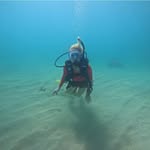 Jill Hatch Clark - @jbeanct - Instagram