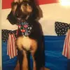 Pamela Jill Hatch Hewitt - @pamela.jill.hatch - TikTok