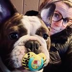 Jill Hatfield Padley - @jpshear_delight - Instagram