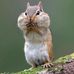 Jill Heald - Facebook