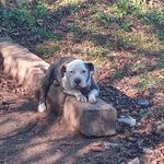 Jill Heard - @jill.heard.900 - Instagram