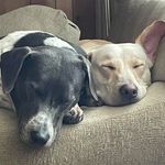 Jill Hebert - @jillhebert48 - Instagram