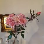 Jill Hedges - @jill_hedges_81 - Instagram
