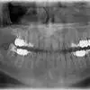 Jil Heiser - @jilheiser - TikTok