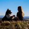 jillhellwig0901 - @jillhellwig0901 - TikTok