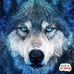Jill Heller - Facebook