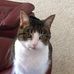 Jill Hoag-Tondreau - Facebook