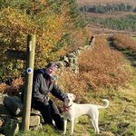 Jill Hobson - @jillhobson10 - Instagram
