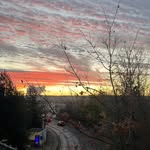 𝐣𝐢𝐣𝐢 - @holstein_jill - Instagram