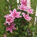 Jill Hoppe - @jill.hoppe.961 - Instagram