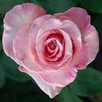 Jill Horn - @jllhorn - Instagram
