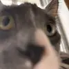 Jill Horn - @leo.boots22 - TikTok