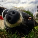 Jill Hudnall - @jbh_naturephoto - Instagram