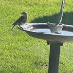 Jill Hudnall Trail - @jtrail3 - Instagram